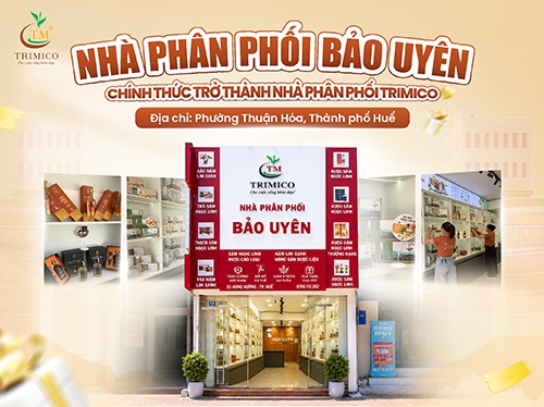 NHÀ PHÂN PHỐI BẢO UYÊN CHÍNH THỨC TRỞ THÀNH NHÀ PHÂN PHỐI TRIMICO TẠI HUẾ